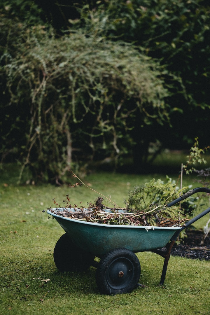 Garden maintenance